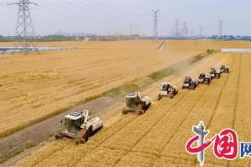 高标准农田建设守住农民“粮袋子”